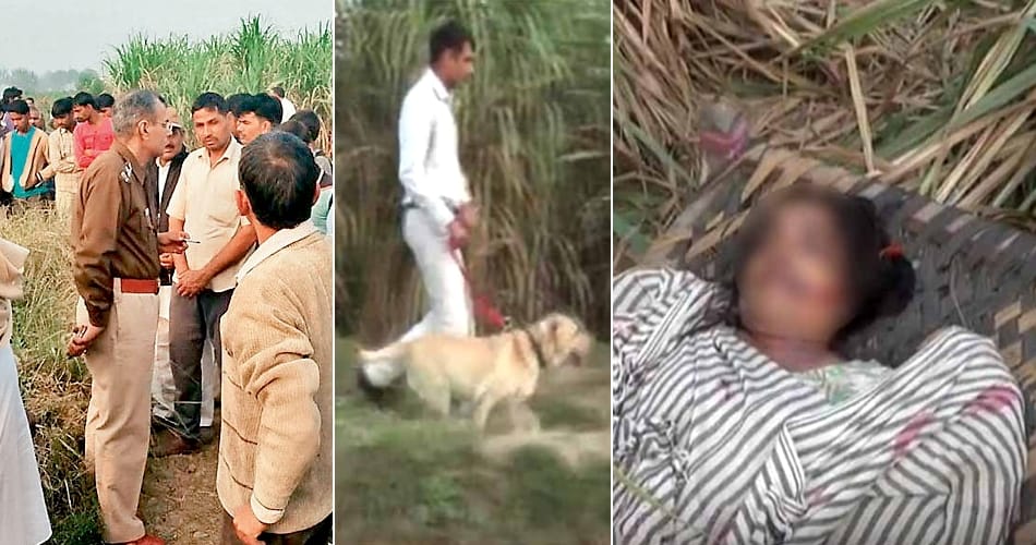 Kidnapped and murdered in gohana haryana, sonipat news