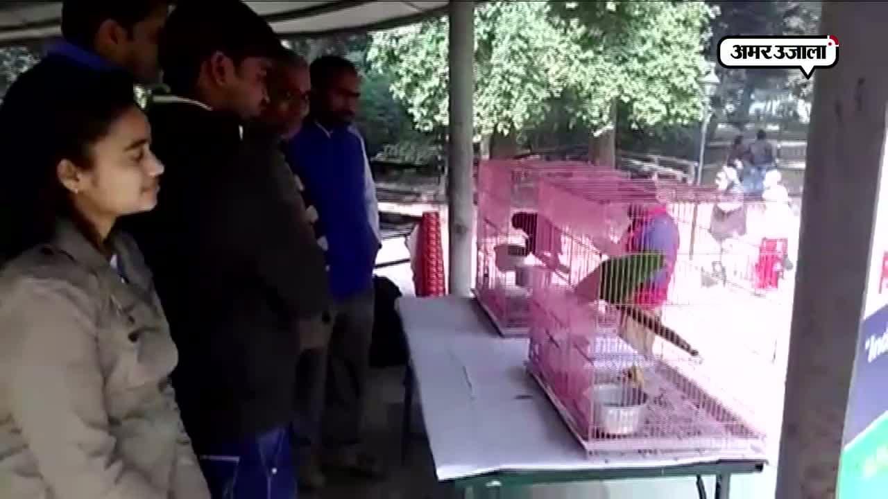 मेरठ