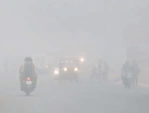 fog in belha
