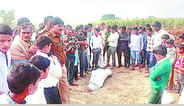 Farmer strangled