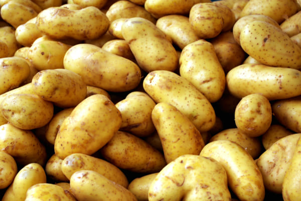 free potato should contact by phone