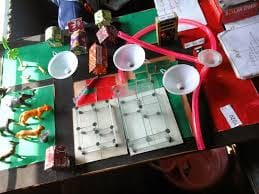 Young scientists show their talent models