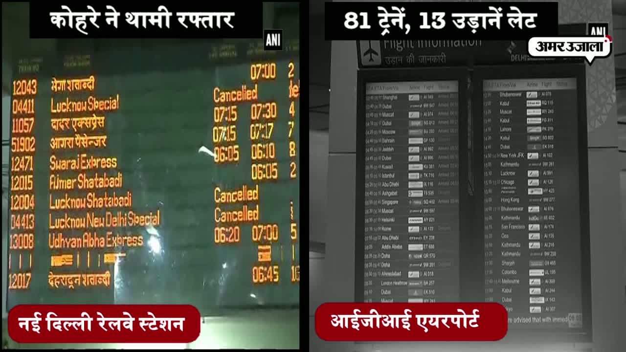 दिल्ली में कोहरा 