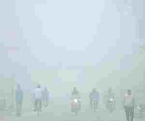 Fog in the lowland 