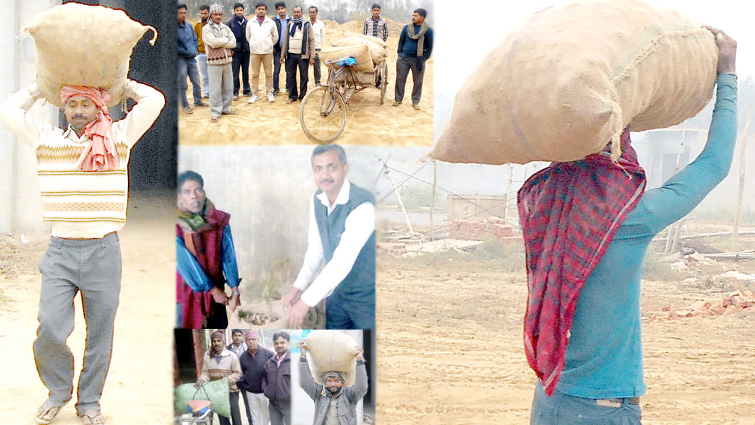 freely distributed potatoes