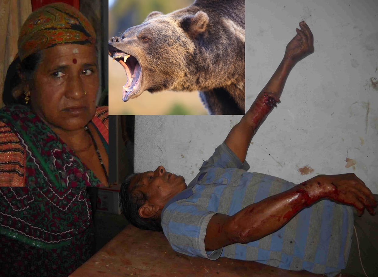 woman fight with bear to save husband.