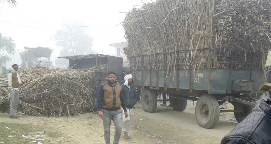 Overloaded vehicles can be filled cane major accident