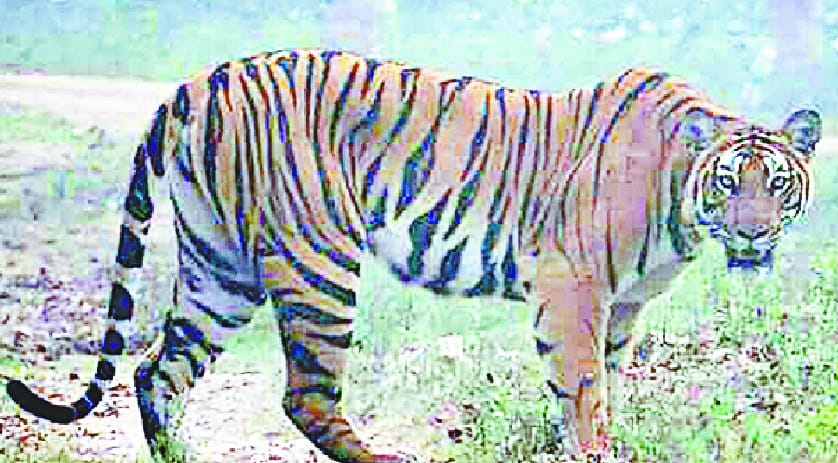 bachhon ke saath dikhi baghin