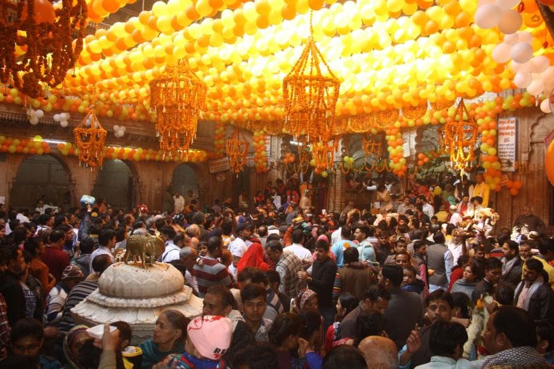 spritual programm in nidhivanraj and bankebihari temple
