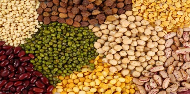 note ban effect on pulses crops