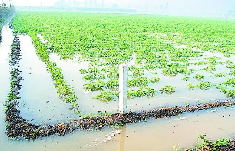 Rjwahe broken track, submerged crops