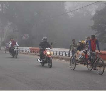 Fog and cold torpid life