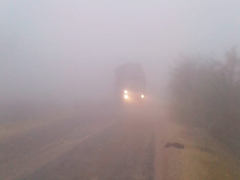 And grew cold, the city wrapped in fog