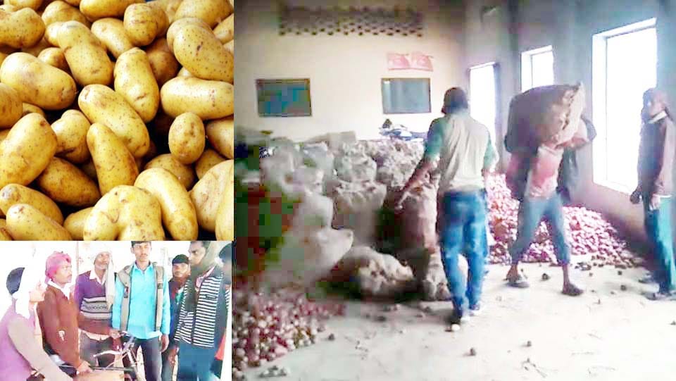amar ujala campaign still distributed free potato
