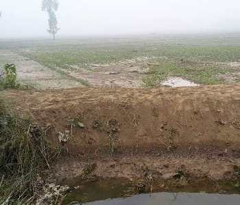 Gdia distributaries chopped, soaked harvest of 200 acres