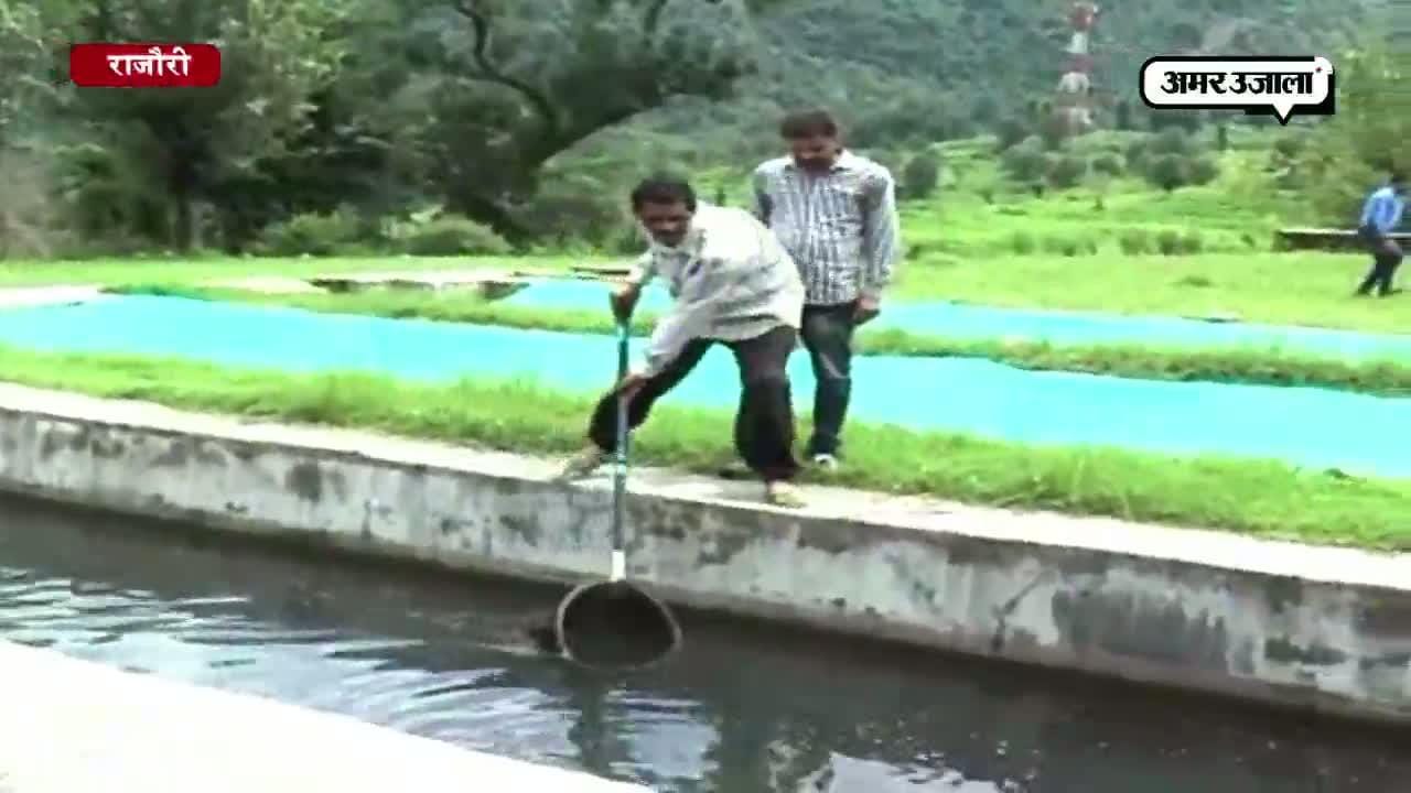 राजौरी