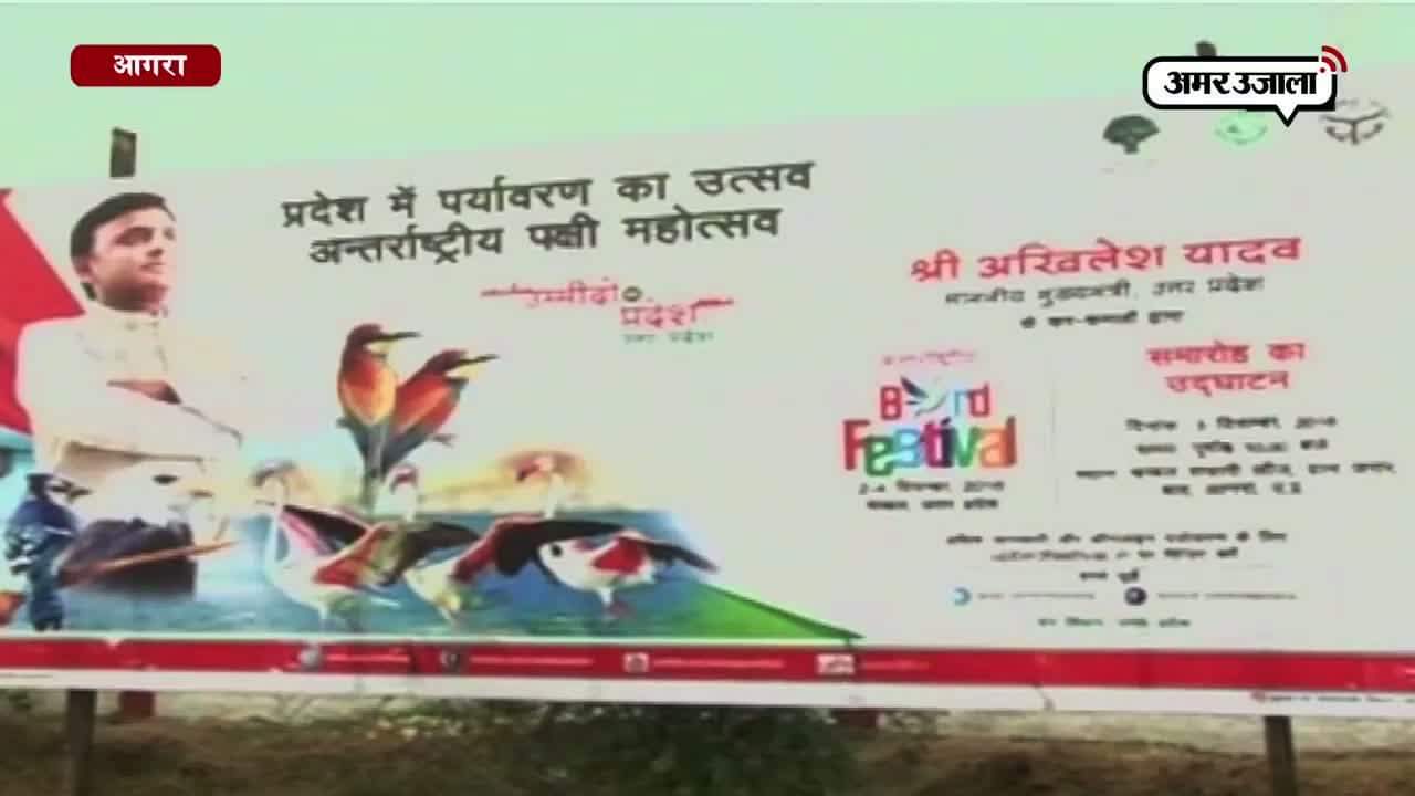 पक्षी महोत्सव