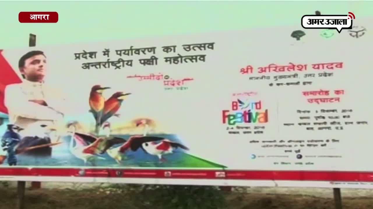 पक्षी महोत्सव