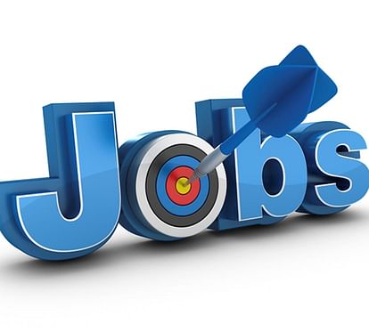 Jobs in Delhi NCR This Week Apply for 6632 vacancies check posts, pay scale and eligibility details