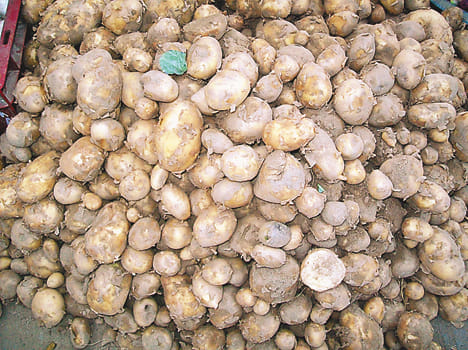 natwar lal taken potato after giving bounce cheque