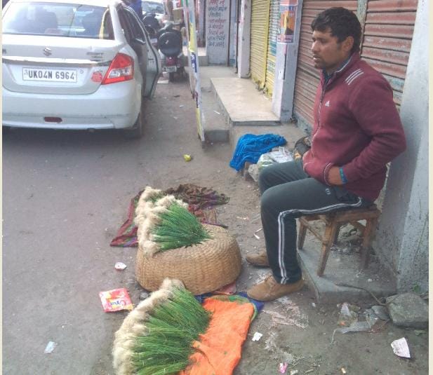 With no rains, the seedlings of onion sellers restless