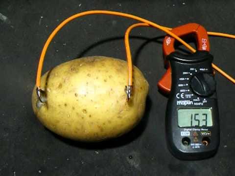 farmer's son produce electricity from potatoes