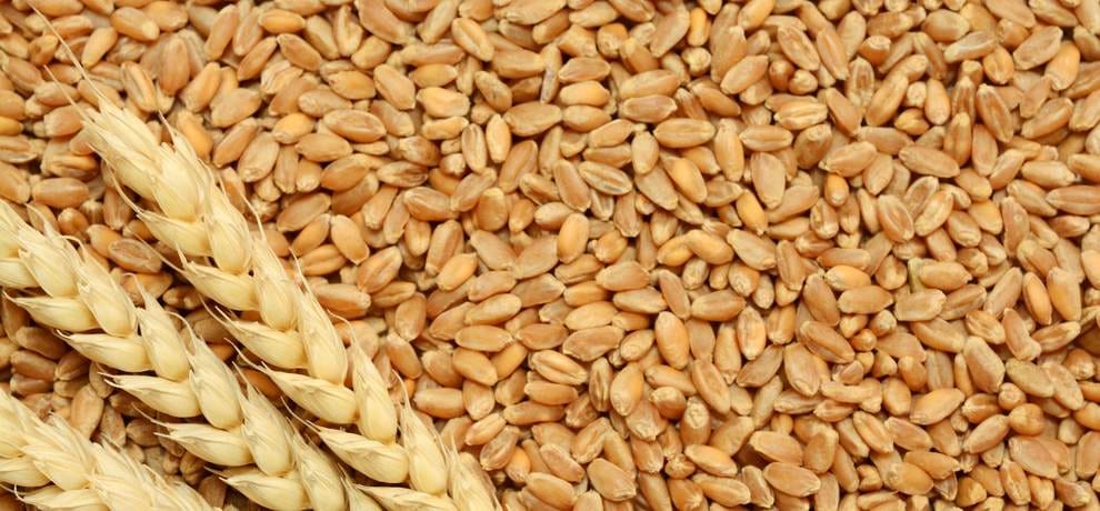 Ration will get from Finger Print