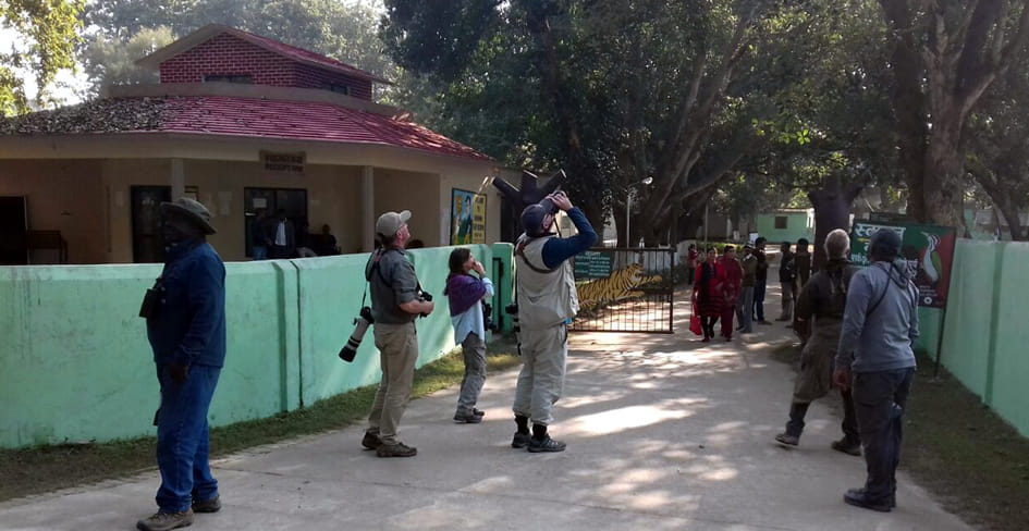 Rare birds, exotic bird specialist working Didar