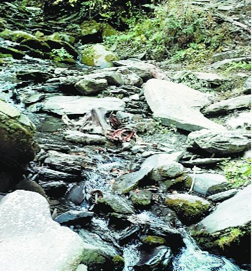 dirty water supply in many village