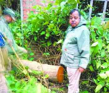 48 bota wood held in the courtyard of the former legislator 