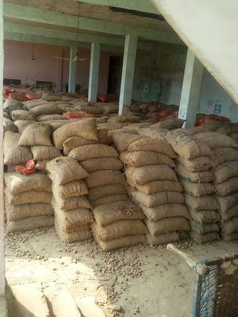 potato farmers are facing problem