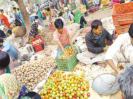 On the ground the potato, tomato prices