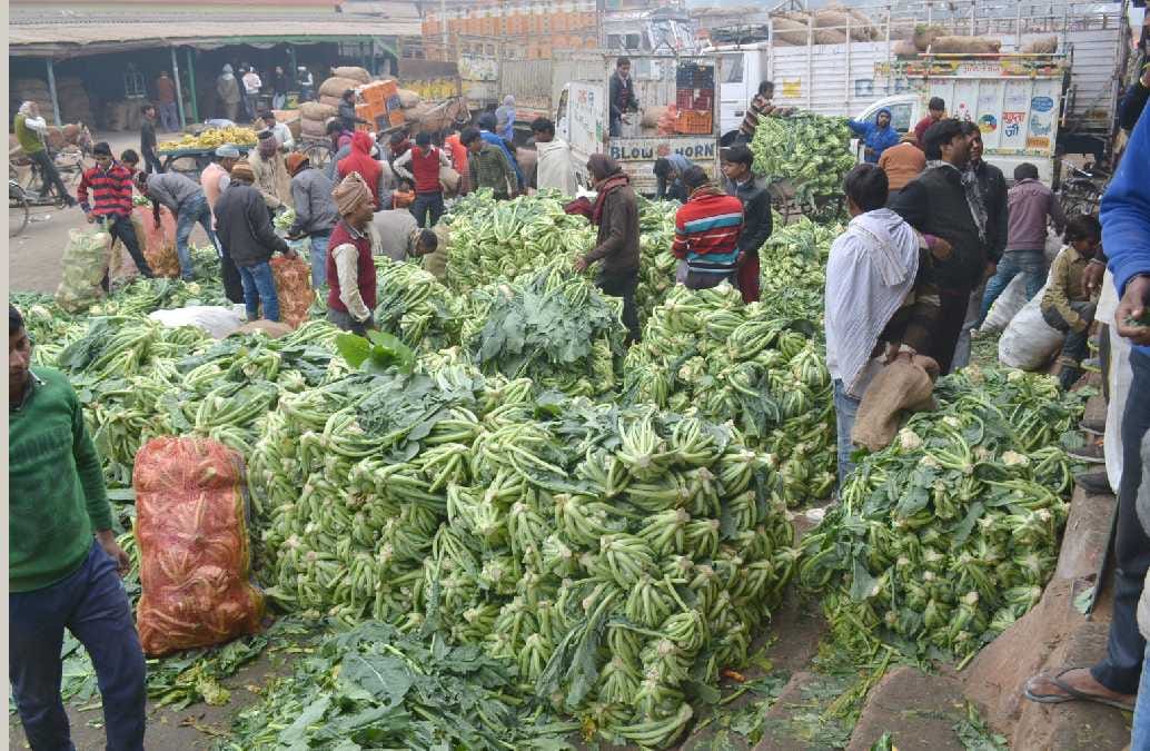 Farmers suffering from a steady fall in the prices of vegetables
