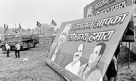 After the rally, which will cure the playing field!