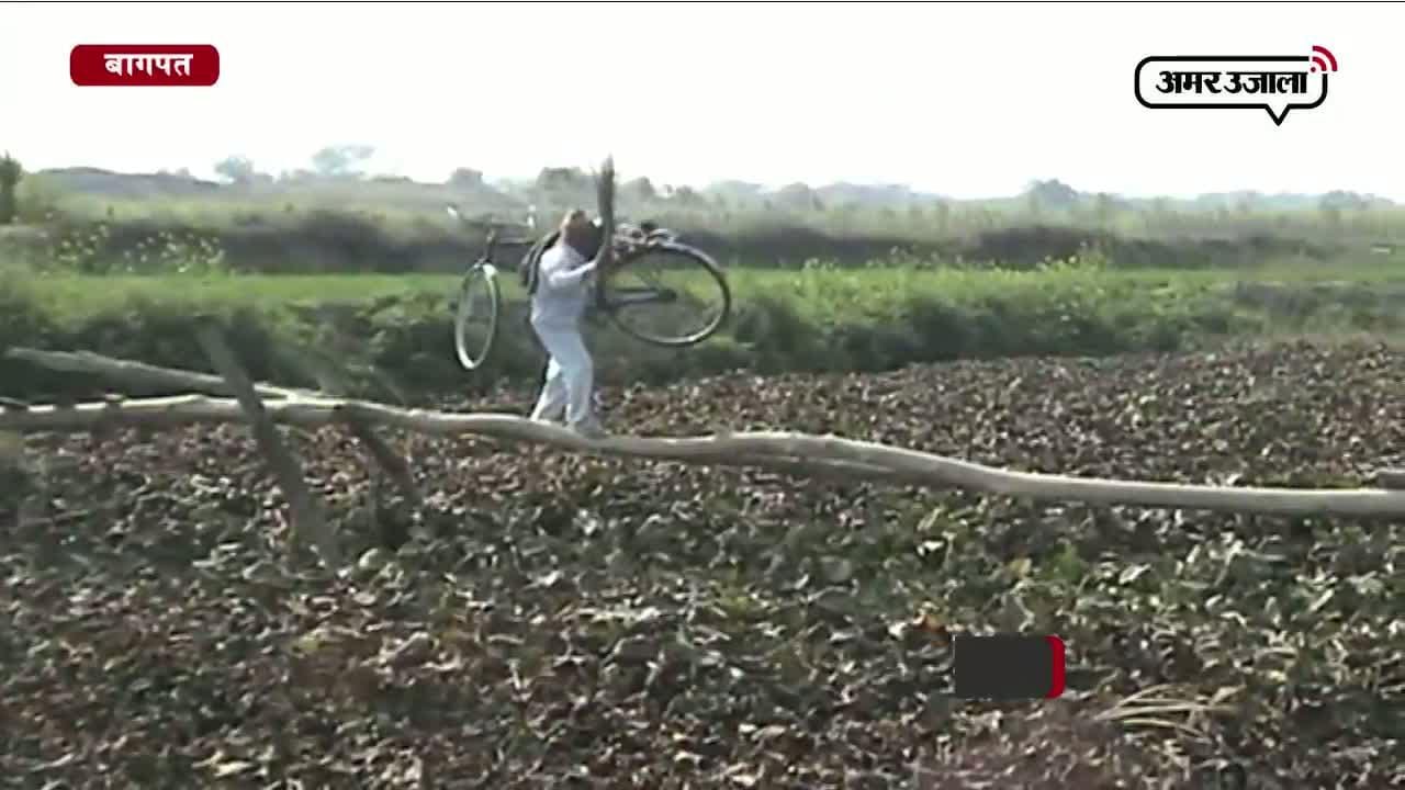 बागपत