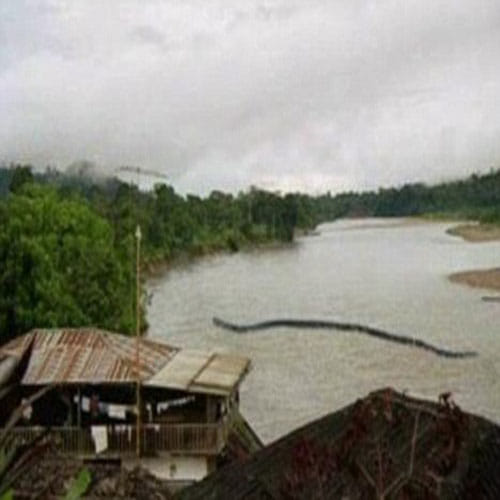 Picture of 100ft-long 'snake' sparks fears of mythical monster 