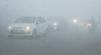 fog, people, daily routine, temprature, kaithal
