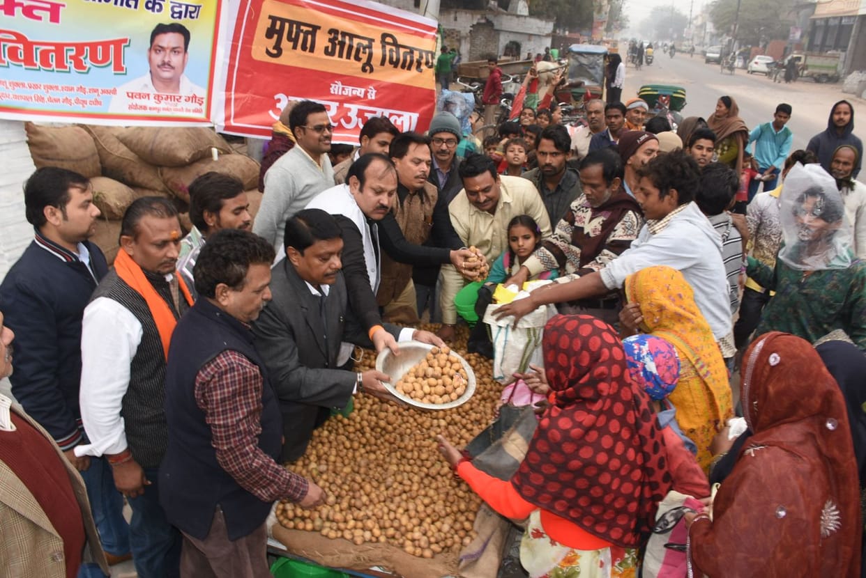free distribution of potato today