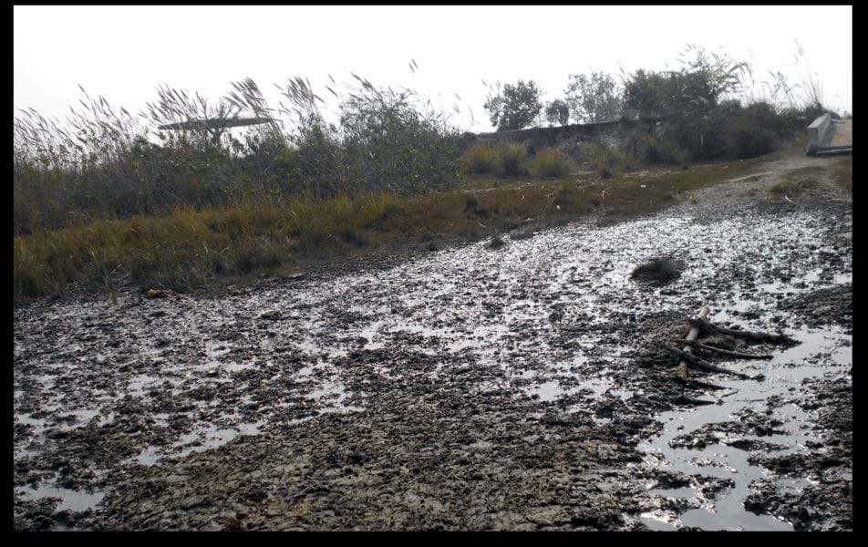 dariyaavaganj kee jheel sookhee, astitv par sankat