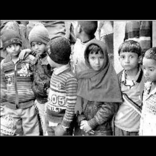group of dogs kills five years old child in moradabad