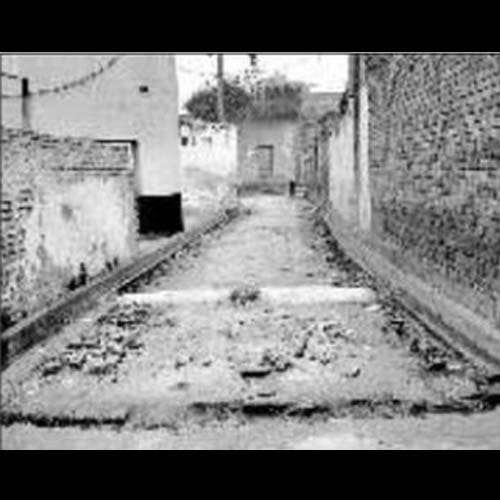 group of dogs kills five years old child in moradabad