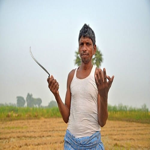 members of a family have 24 fingers
