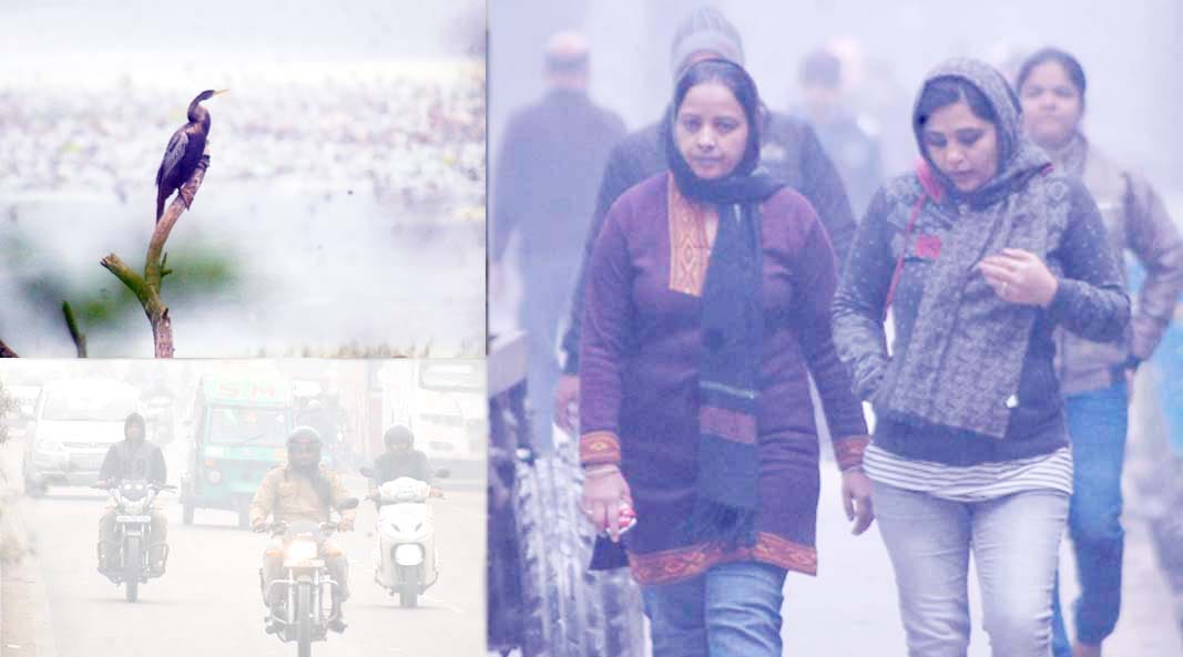 fog and cold in kanpur