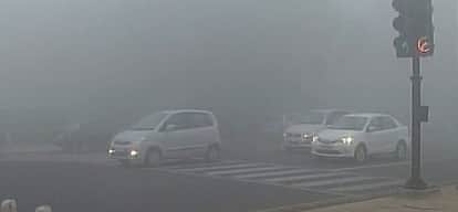 dense fog and cold wave hit capital delhi-ncr, visibility affected