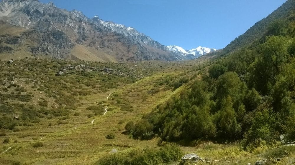 sanjeevani booti will be search when snow over.