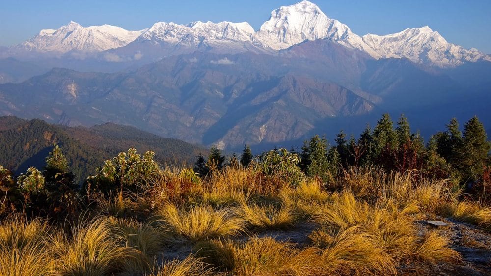 sanjeevani booti will be search when snow over.