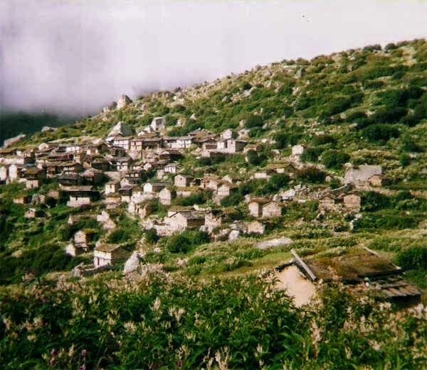 sanjivani herbs found in uttarakhand