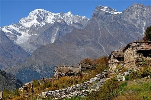 sanjivani herbs found in uttarakhand