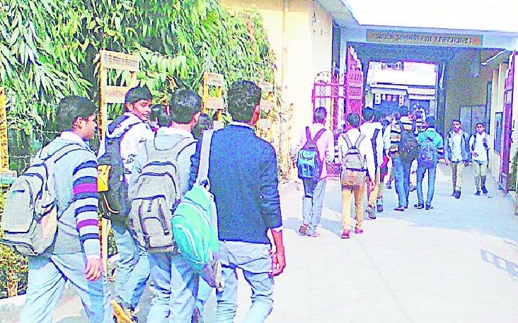 How improved recently in school, do not touch the Sapling