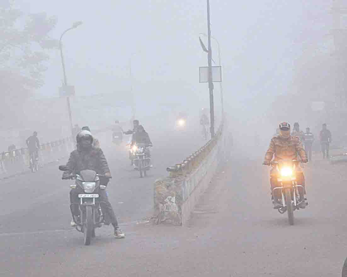 effect of fog in rampur